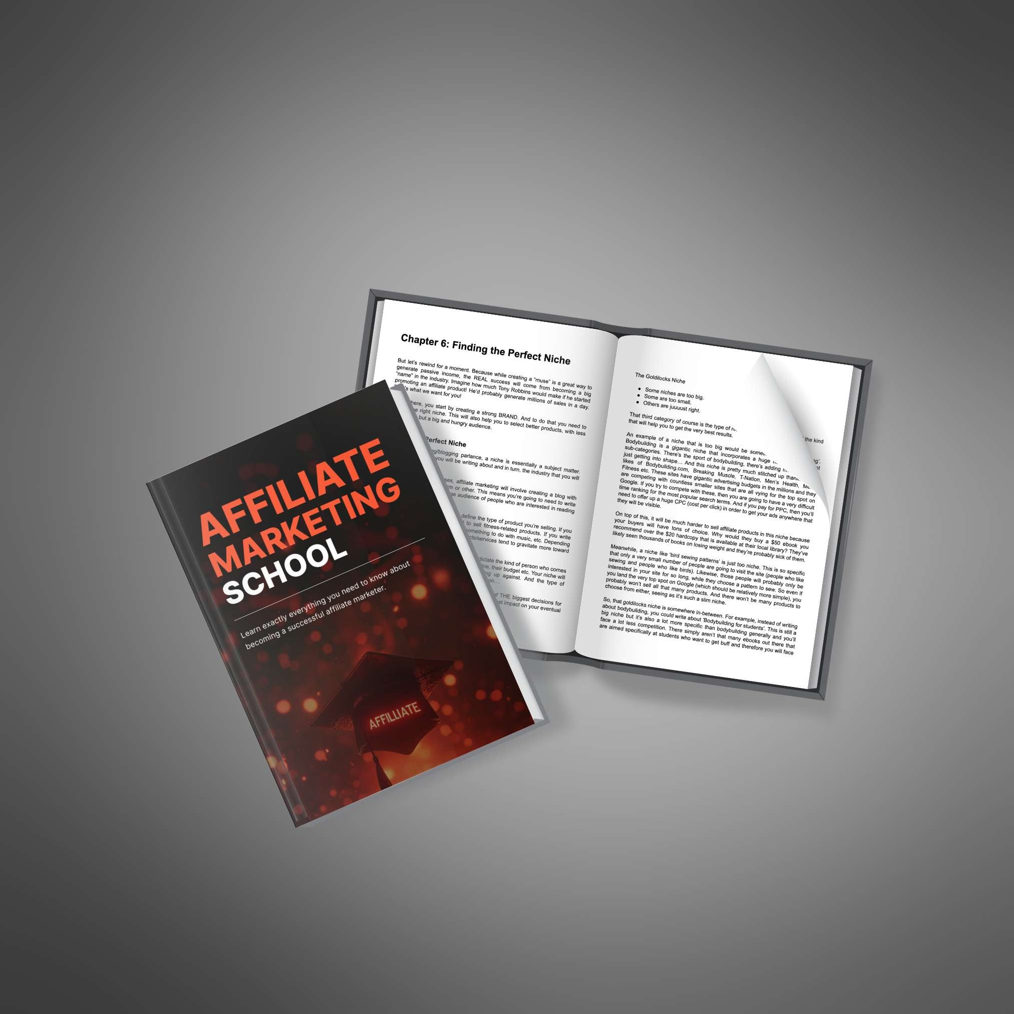 Affiliate Marketing Schule