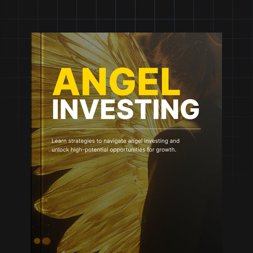Angel-Investitionen – E-Book